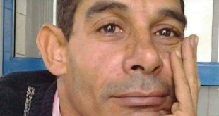 الكاتب : أحمد أبو رية